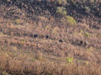 Marion, Romane South Africa 2014 (37 of 45) : KNP Pretoriuskop, Marion visit